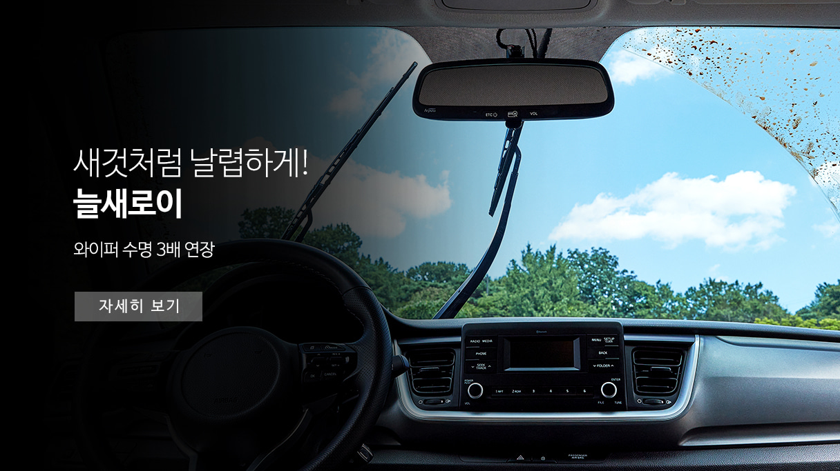 블랙팟 늘새로이